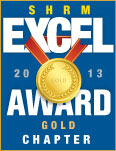 Chapter Gold Award